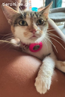 Yara sucht ihr Glück (1 Jahr)