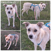 Yari ist bereit für IHRE Familie mit Feingefühl