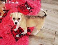 Yari ist bereit für IHRE Familie mit Feingefühl