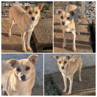 Yari ist bereit für IHRE Familie mit Feingefühl