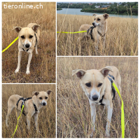 Yari ist bereit für IHRE Familie mit Feingefühl