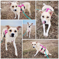 Yari ist bereit für IHRE Familie mit Feingefühl