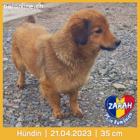 Zarah wünscht sich ein leben mit Liebe und Geborgenheit