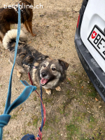 Zarte Kali sucht liebevolles Zuhause voller Geduld und Herz