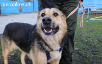 Zauberhafte Jojo sucht ihre Menschen