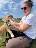 Zuckerschnute Unique sucht ihre Herzensmenschen