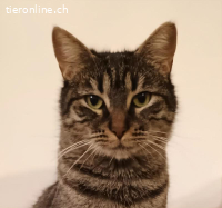 Zwei Herzen, die nur zusammen ein Zuhause suchen