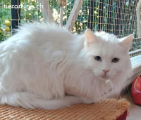 Zwei Herzen, die nur zusammen ein Zuhause suchen