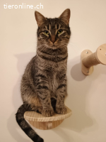 Zwei Herzen, die nur zusammen ein Zuhause suchen