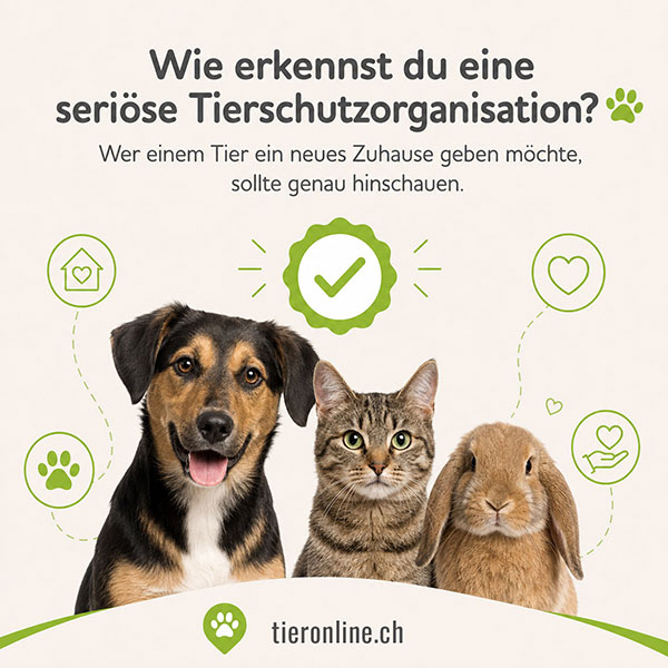Seriöse Tierschutzorganisationen