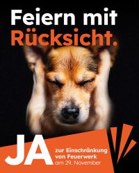 JA zur Feuerwerksinitiative