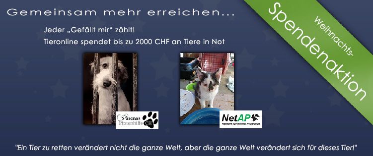 Tieronline Spendenaktion